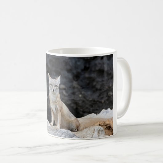 Vulpes corsac kaffeetasse (VorderseiteRechts)