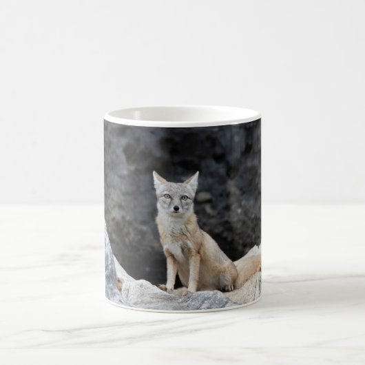 Vulpes corsac kaffeetasse (Mittel)