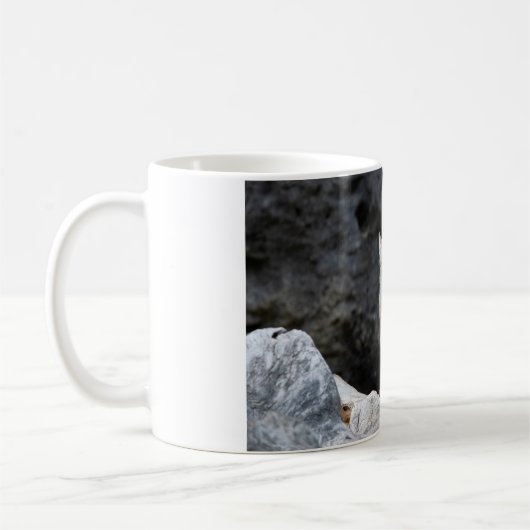 Vulpes corsac kaffeetasse (Links)