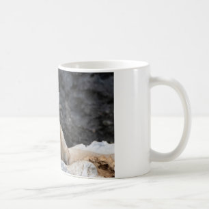 Vulpes corsac kaffeetasse