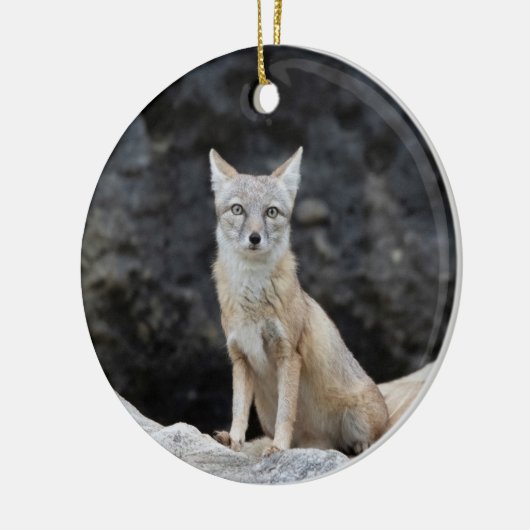 Vulpes corsac keramik ornament (Links)