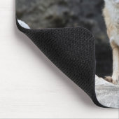 Vulpes corsac mousepad (Ecke)