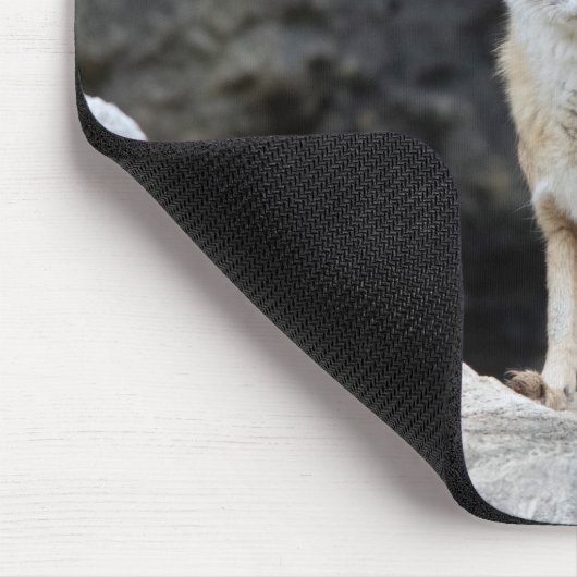 Vulpes corsac mousepad (Ecke)