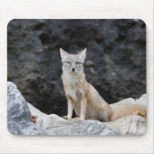 Vulpes corsac mousepad (Vorne)