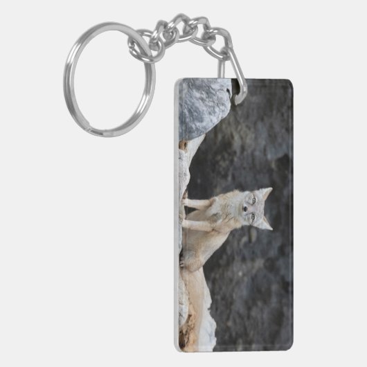 Vulpes corsac schlüsselanhänger (Vorderseite links)