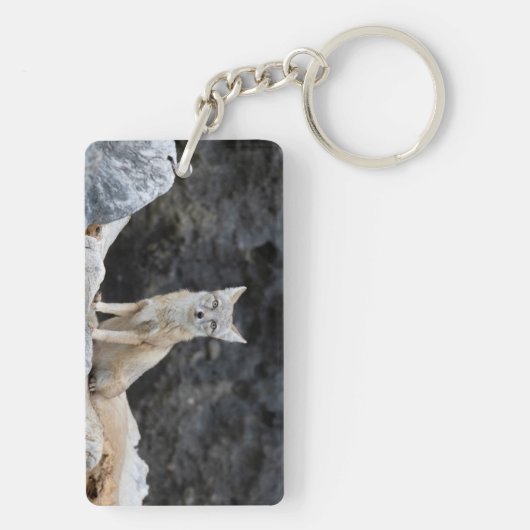 Vulpes corsac schlüsselanhänger (Rückseite)