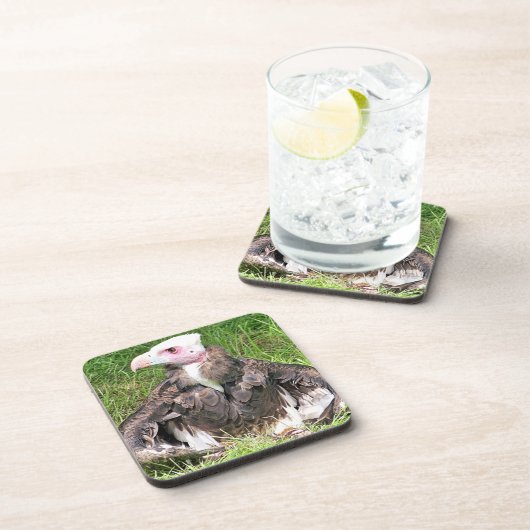 VULTUR GETRÄNKEUNTERSETZER (Rechte Seite)