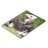 VULTUR NOTIZBLOCK (Linke Seite)