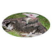 VULTUR SCHNEIDEBRETT (Ecke)