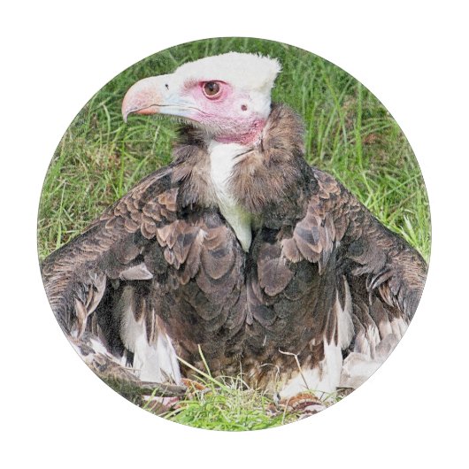 VULTUR SCHNEIDEBRETT (Vorderseite)