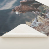 VULTUR SHERPADECKE (3/4)
