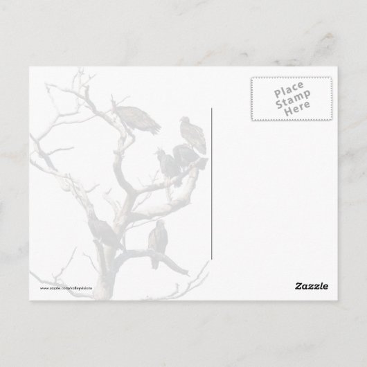 Vulturbaum Postkarte (Rückseite)