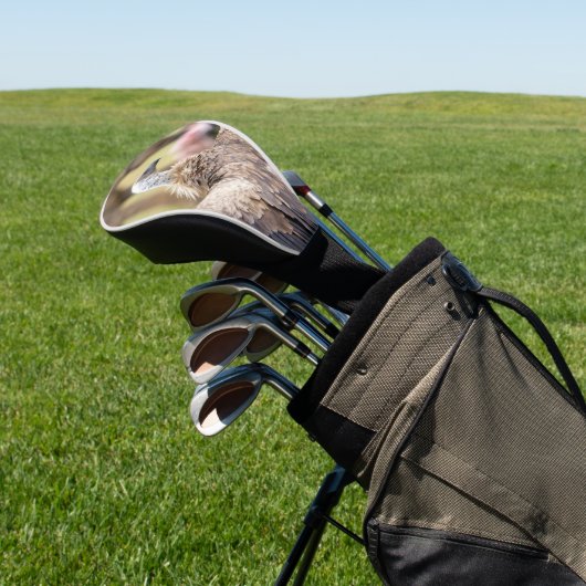 Vulture and Hyena wild life Foto Golf Headcover (In SItu)