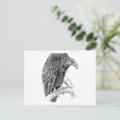 Vulture Bird Realistic Sketch Postkarte (Stehend Vorderseite)