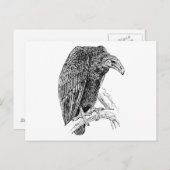 Vulture Bird Realistic Sketch Postkarte (Vorne/Hinten)