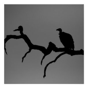 Vulture Silhouette Poster