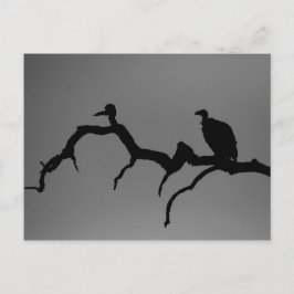 Vulture Silhouette Postkarte