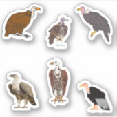 Vulture Stickers Aufkleber (Vorderseite)