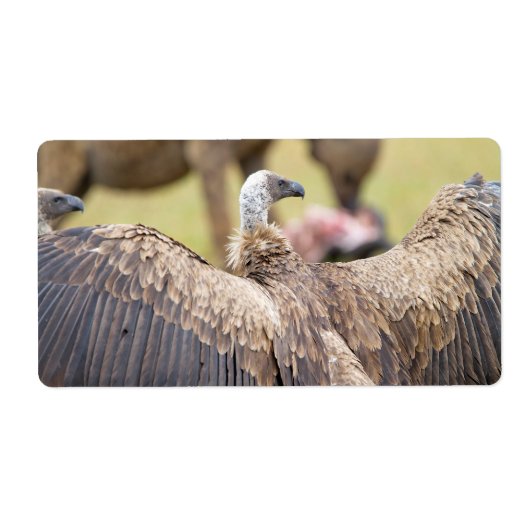 Vulture und Hyena (Vorne)