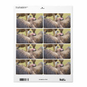 Vulture und Hyena (Vorne)