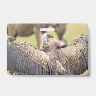 Vulture und Hyena Ausweis