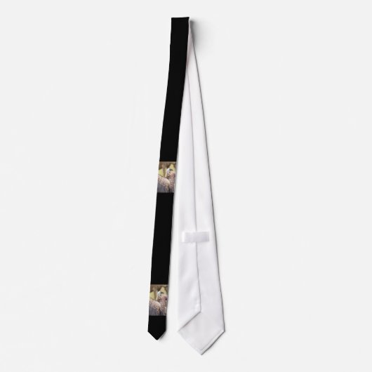 Vulture und Hyena Krawatte (Rückseite)