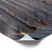 Vulture und Hyena Poster (Ecke)