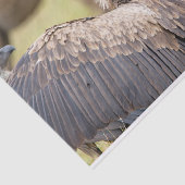 Vulture und Hyena Seidenpapier (Ausschnitt)