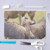 Vulture und Hyena Seidenpapier (Handwerk)
