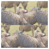 Vulture und Hyena Stoff (Nahaufnahme)