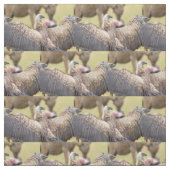 Vulture und Hyena Stoff (Muster)