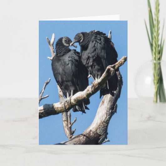 Vulture Valentine Feiertagskarte (Vorderseite)