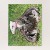 VULTURELLE VOGELN PUZZLE (Vertikal)