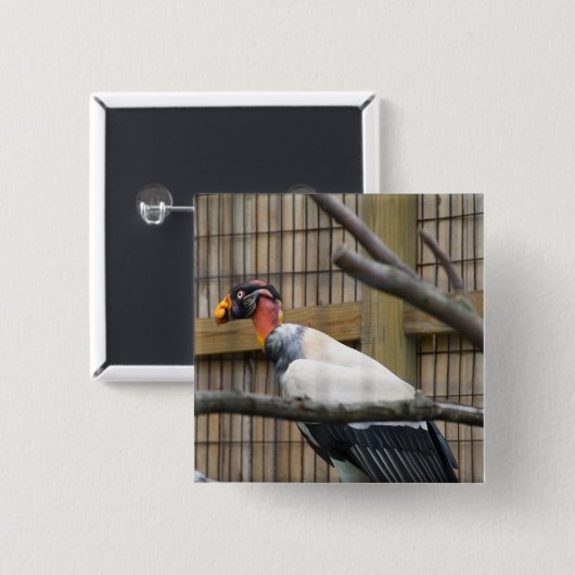 Vulturfotografie Button (Vorne & Hinten)