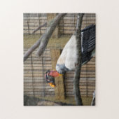 Vulturfotografie Puzzle (Vertikal)