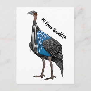 Vulturine guineafowl bird cartoon illustration postkarte