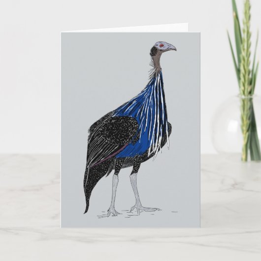 Vulturine Guineafowl Dankeskarte (Vorderseite)