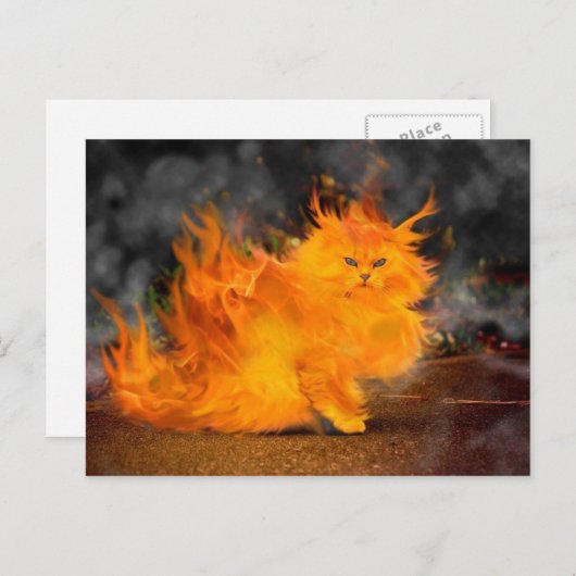 Vuur Kat Postkarte (Vorne/Hinten)