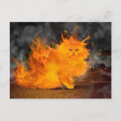Vuur Kat Postkarte (Vorderseite)