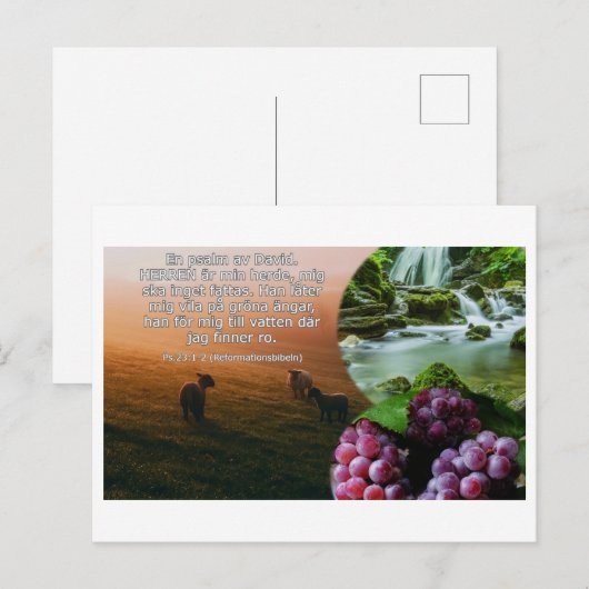 Vykort - Psalm 23: 1-2 Postkarte (Vorne/Hinten)