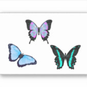 Vynal Aufkleber (Vorderseite)