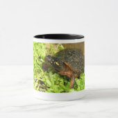 W 01 TASSE (Zentrum)