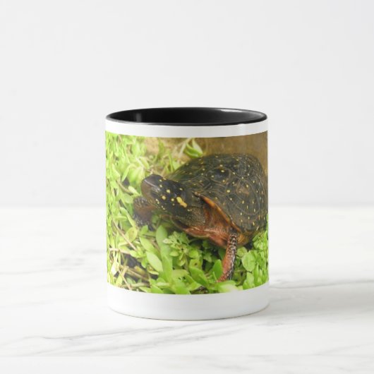 W 01 TASSE (Zentrum)