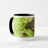 W 01 TASSE (Vorderseite Links)