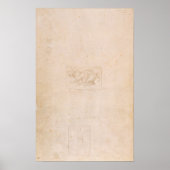 W.54 Studie eines Drachen Poster (Vorne)