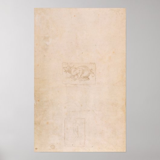 W.54 Studie eines Drachen Poster (Vorne)