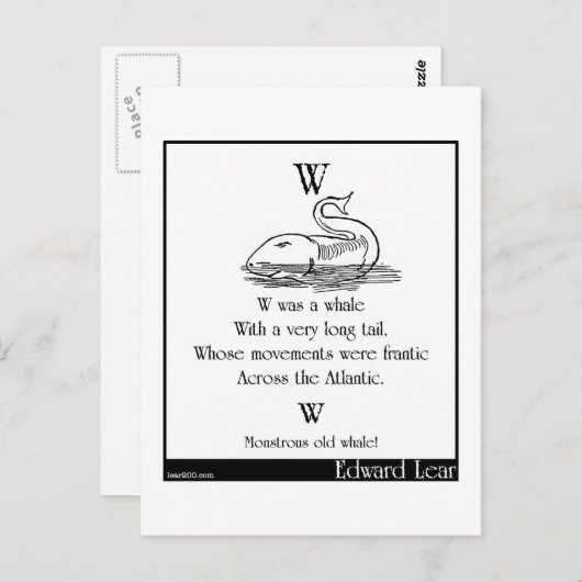 W war ein Wal Postkarte (Vorne/Hinten)