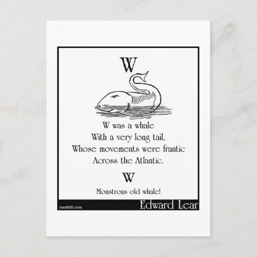 W war ein Wal Postkarte (Vorderseite)
