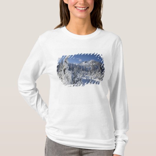 WA, Alpenseen Wilderness, Schneebecken T-Shirt (Vorderseite)