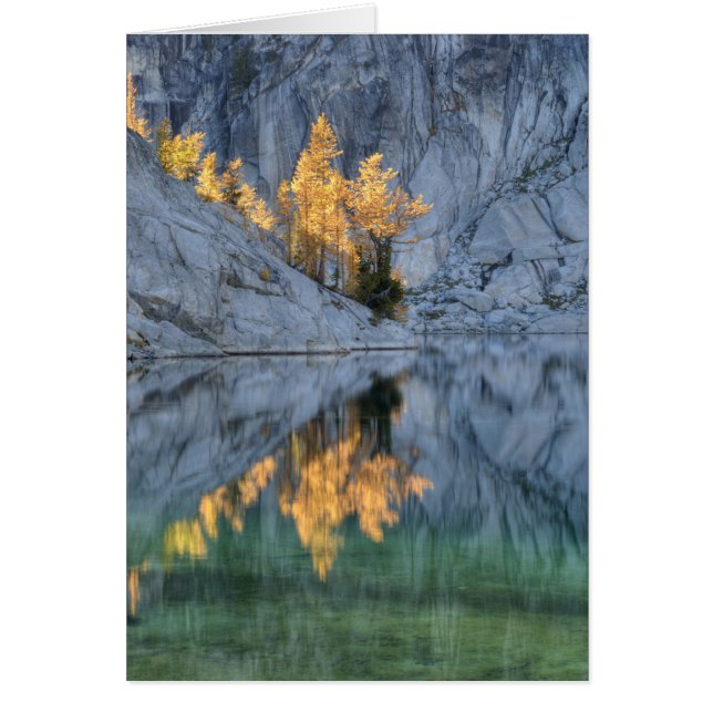 WA, Alpenseen Wildnis, Verzauberung 3 (Vorne)